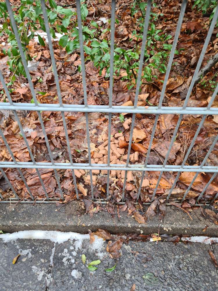 Giftköder-Absichtlich platziertes Hundefutter-Profilbild