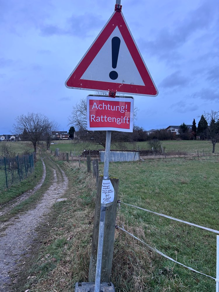 Giftköder-Blaue Kugeln (Rattengift oder Schneckenkorn)-Profilbild