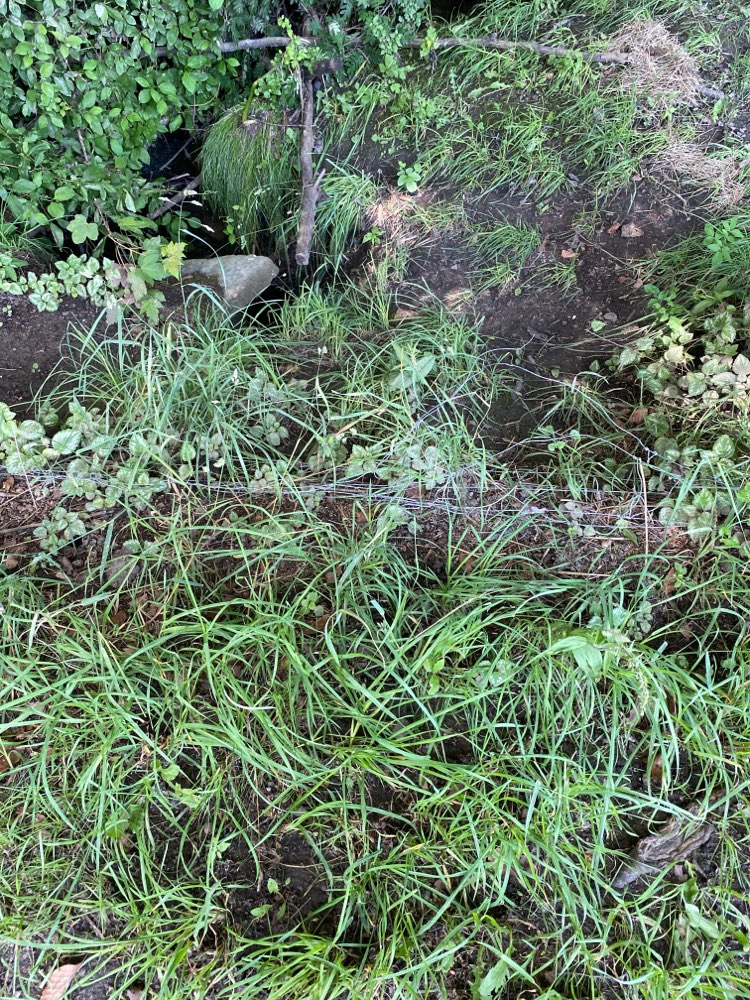 Giftköder-Drahtzaun am Boden-Profilbild