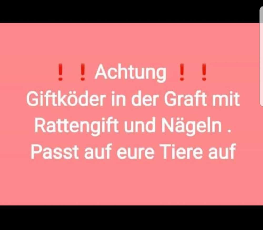 Giftköder-Giftköder-Profilbild