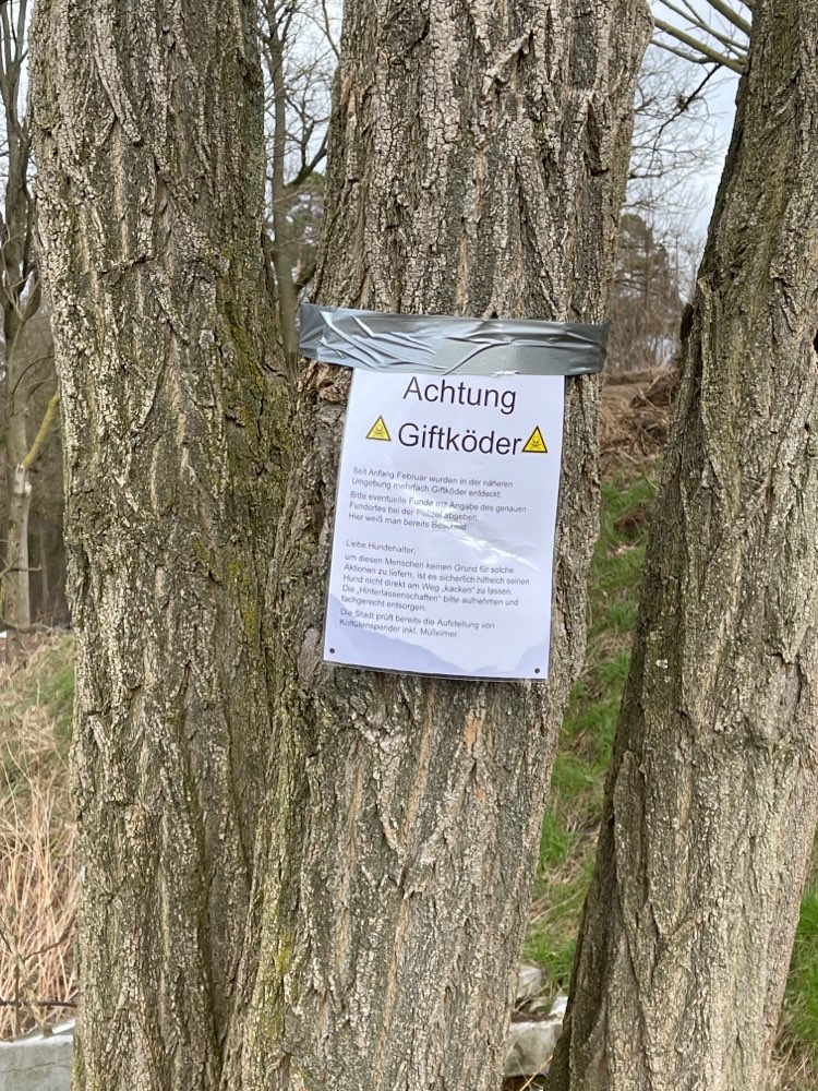 Giftköder-Giftköder-Profilbild