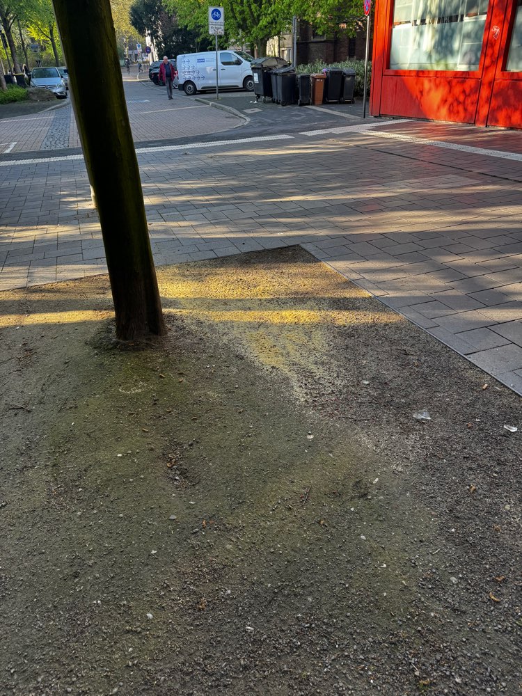 Giftköder-Rattengift-Profilbild