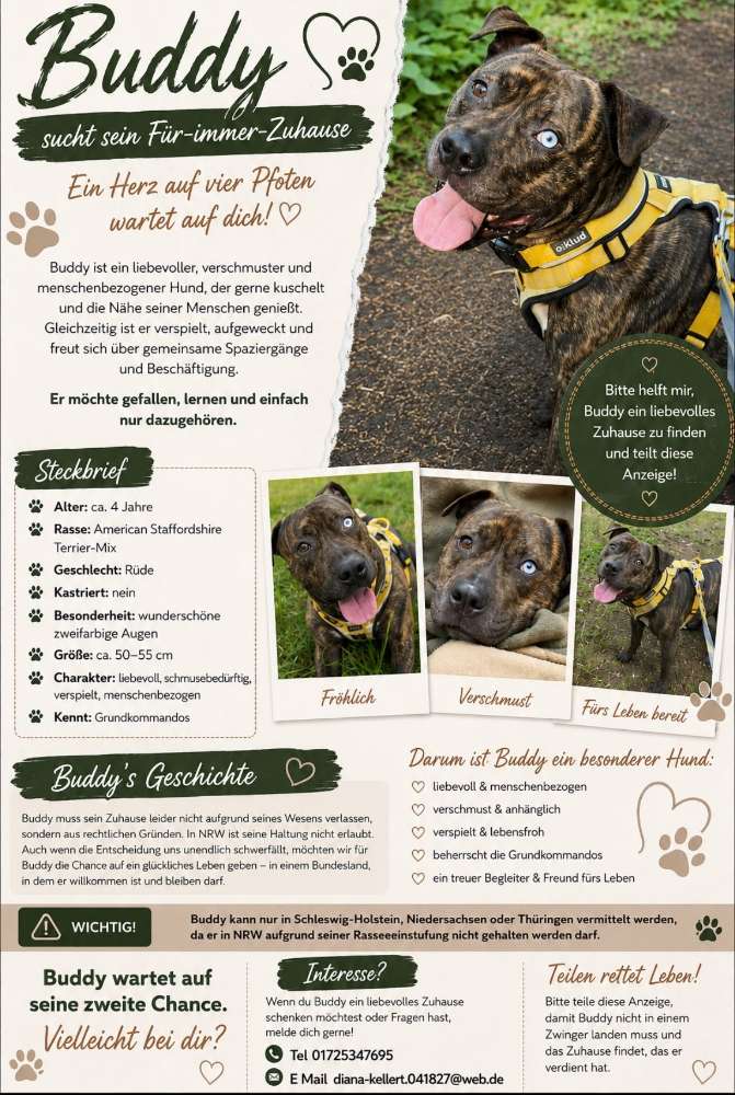 Hundetreffen-Gassirunden in der Nähe von Bächen-Profilbild