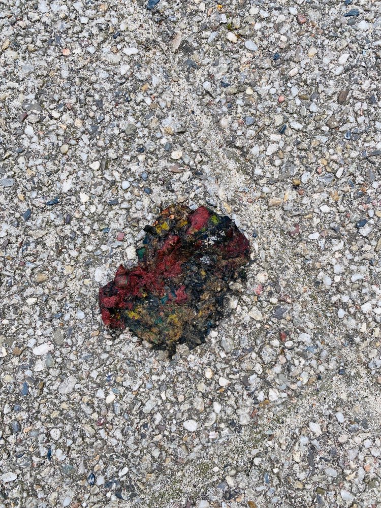 Giftköder-Unbekanntes, evtl. Giftköder-Profilbild