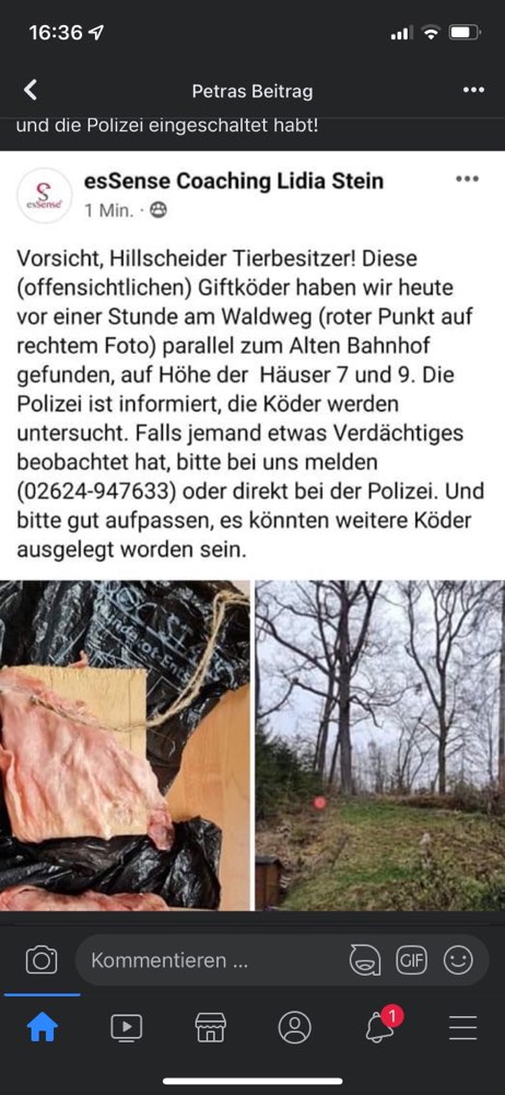 Giftköder-Giftköder-Profilbild