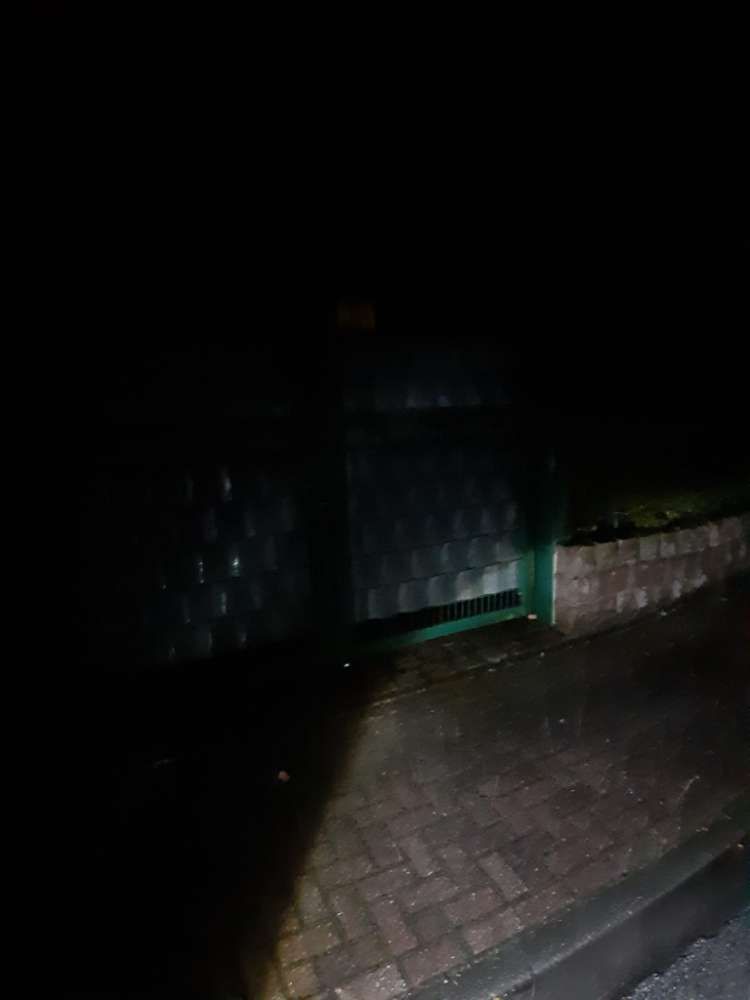 Giftköder-vermutlich Giftköder-Profilbild