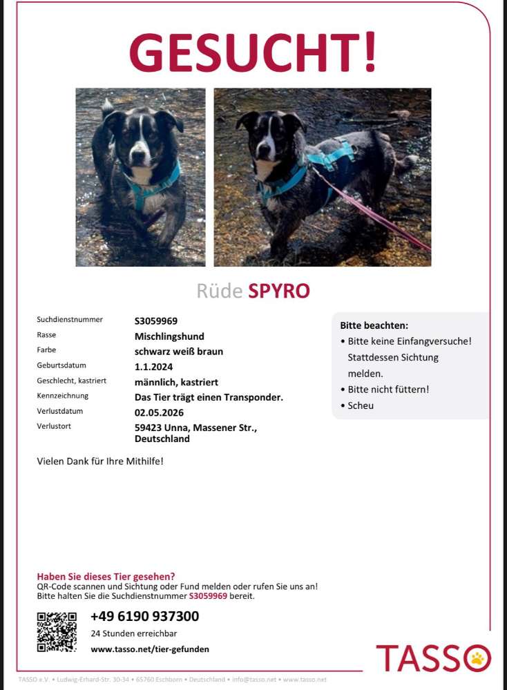 Suchmeldung-Spyro-Profilbild