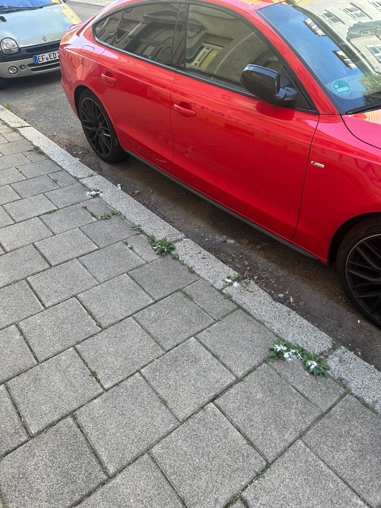 Giftköder-Weißes Pulver auf Gehweg ausgelegt!!!-Profilbild