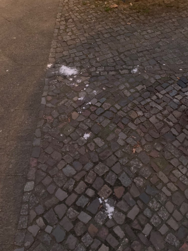 Giftköder-Weißes Pulver-Profilbild