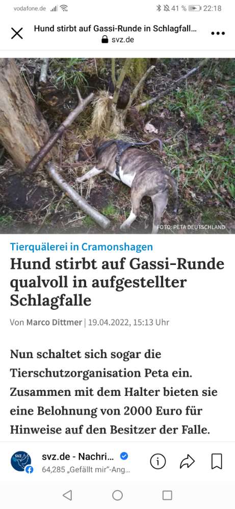 Giftköder-Schlagfallen-Profilbild