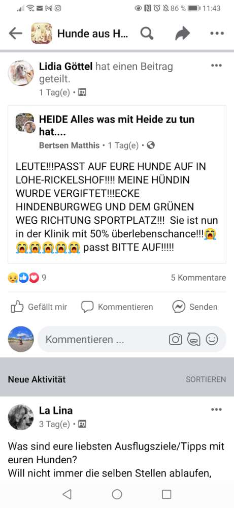 Giftköder-Vergiftete Hündin-Profilbild