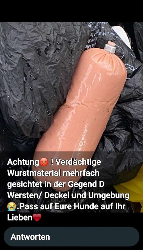 Giftköder-Giftköder-Profilbild