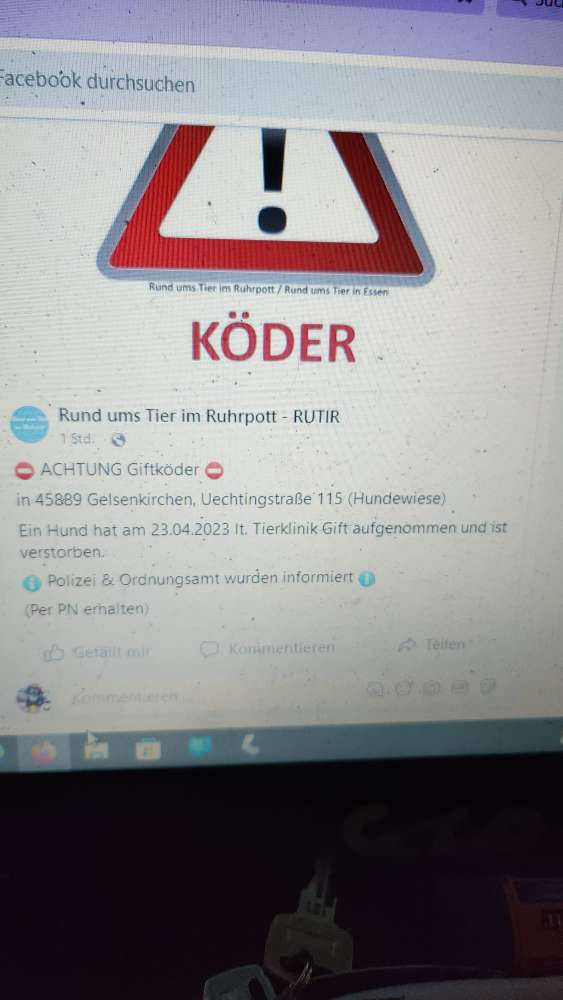 Giftköder-Gift-Profilbild