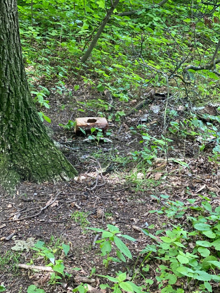 Giftköder-Evtl. Giftköder-Profilbild