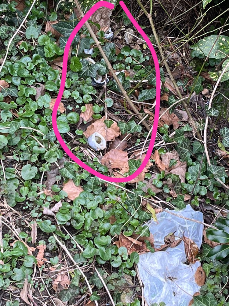 Giftköder-Fischröllchen oder Giftköder-Profilbild