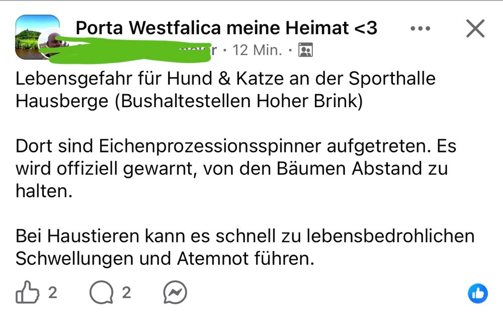 Giftköder-Eichenprozessionsspinner-Profilbild