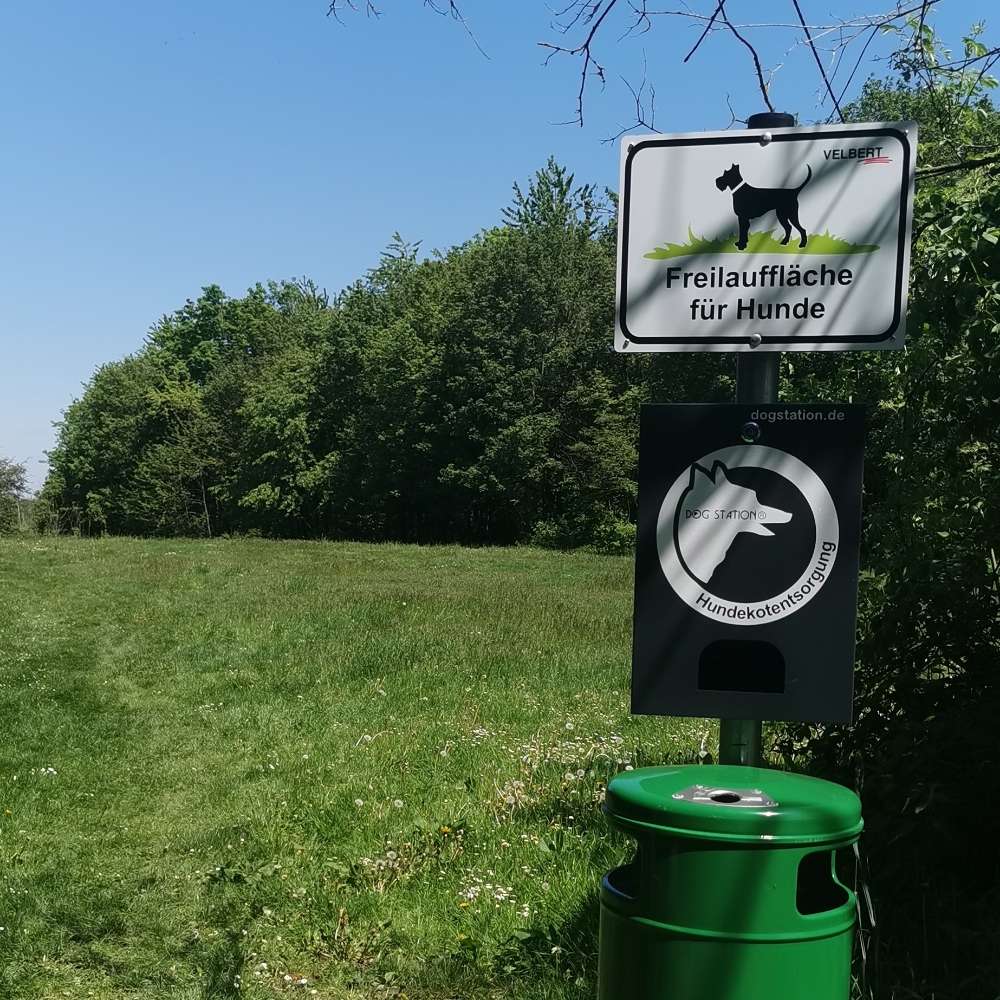 Hundetreffen-Spiel&Spass-Profilbild