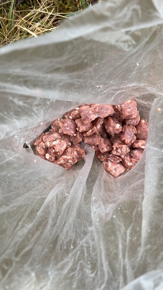 Giftköder-Schweinehack vermutlich Giftköder-Profilbild