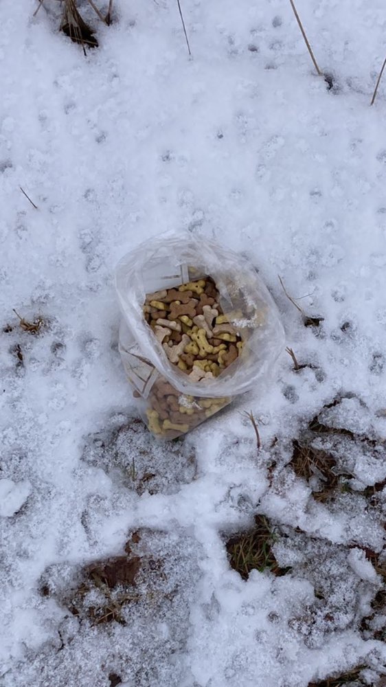 Giftköder-Möglicherweise Giftköder-Profilbild