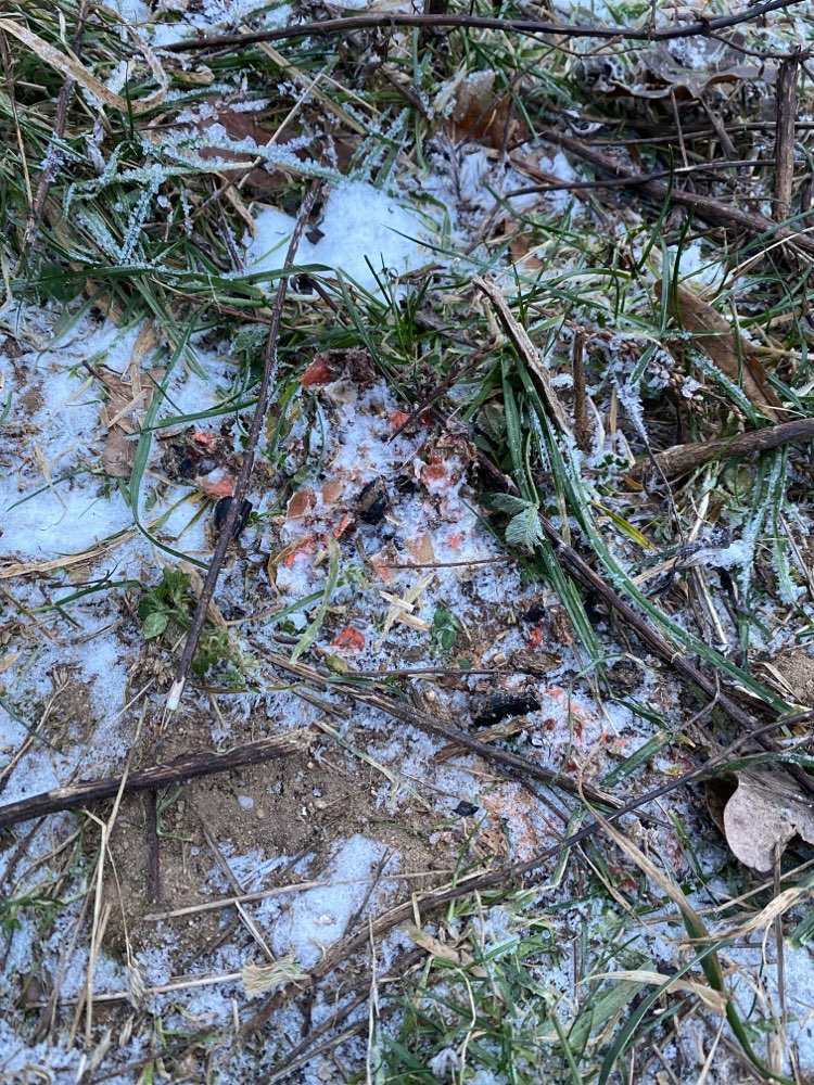 Giftköder-Verdächtige Substanz-Profilbild