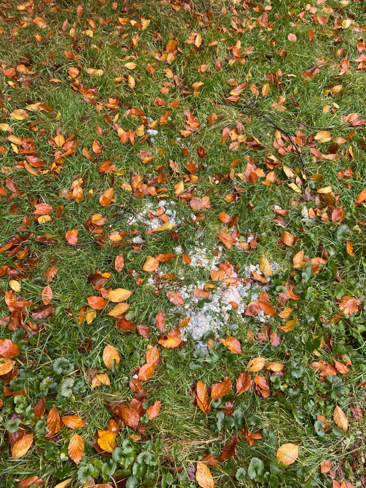 Giftköder-Verdächtiges Pulver-Profilbild