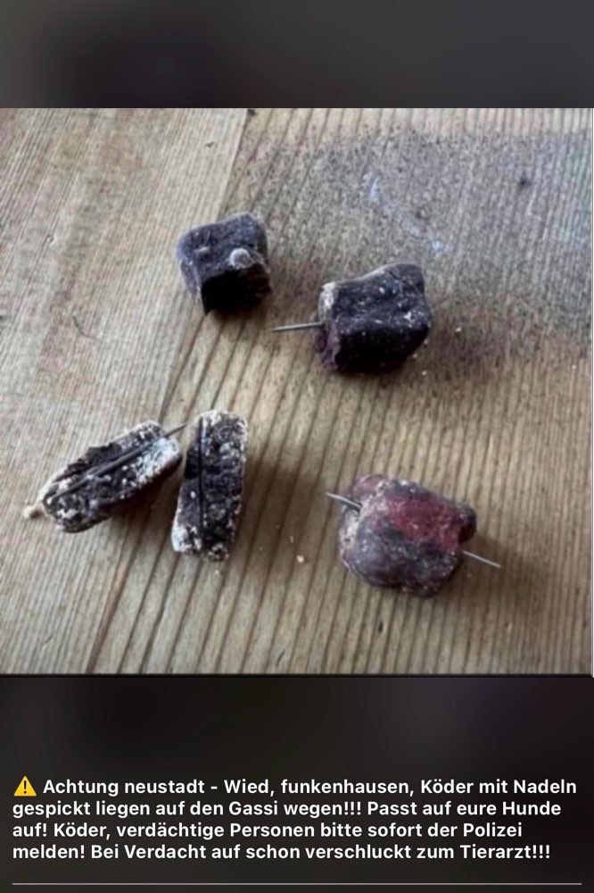 Giftköder-Köder mit Nadeln-Profilbild