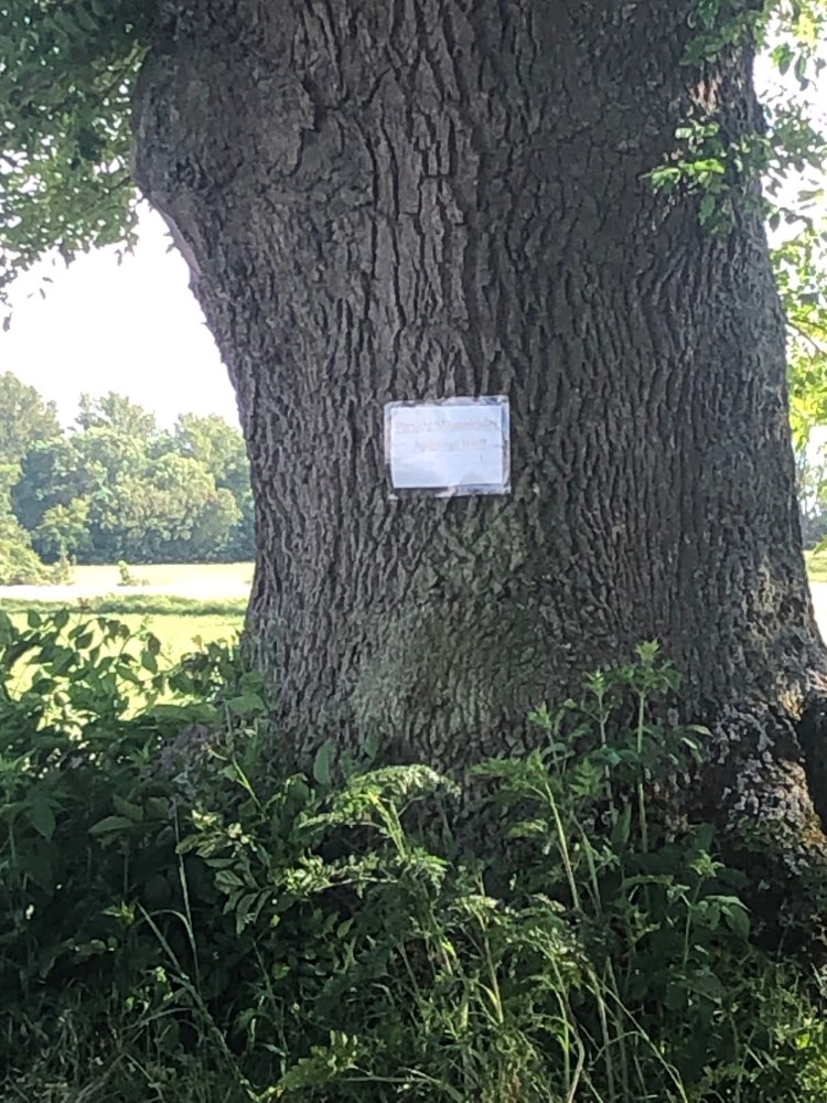 Giftköder-Giftköder ausgelegt-Profilbild