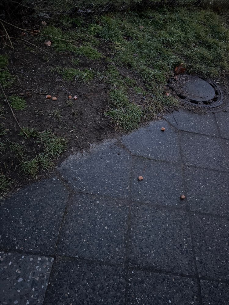 Giftköder-Würstchenstücke-Profilbild