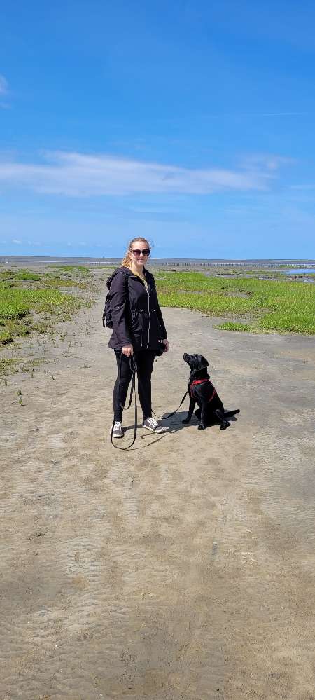 Hundetreffen-Spieltreffen in Itzehoe oder Umgebung-Profilbild