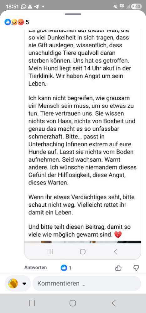 Giftköder-Gift ausgelegt-Profilbild