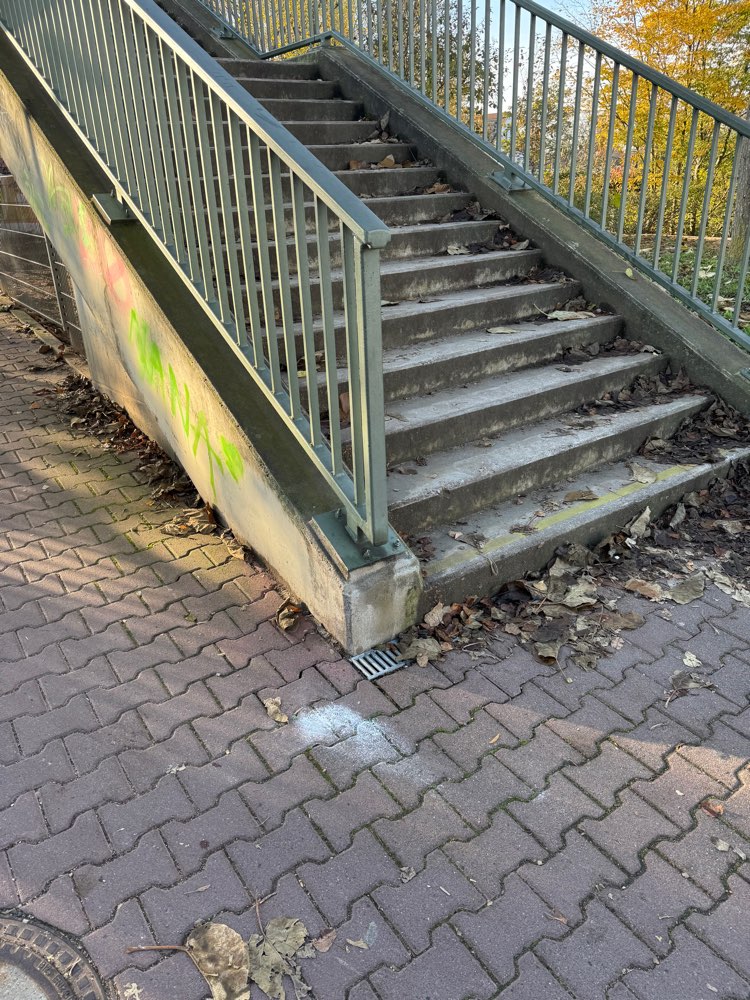 Giftköder-Gift?-Profilbild