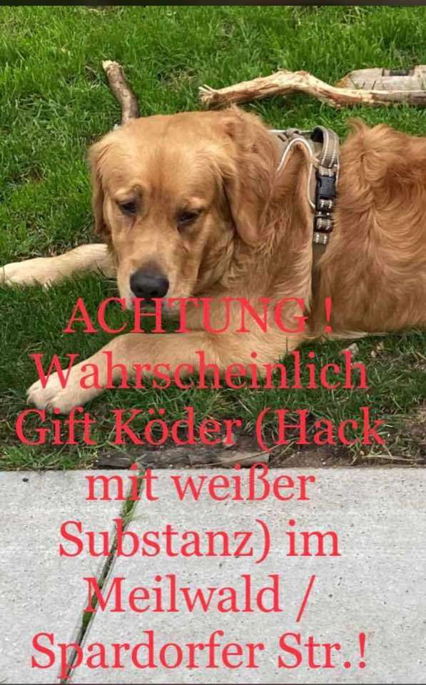 Giftköder-Giftköder-Profilbild