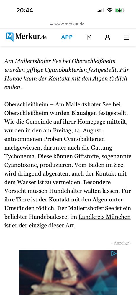 Giftköder-Blaualgen nachgewiesen-Profilbild