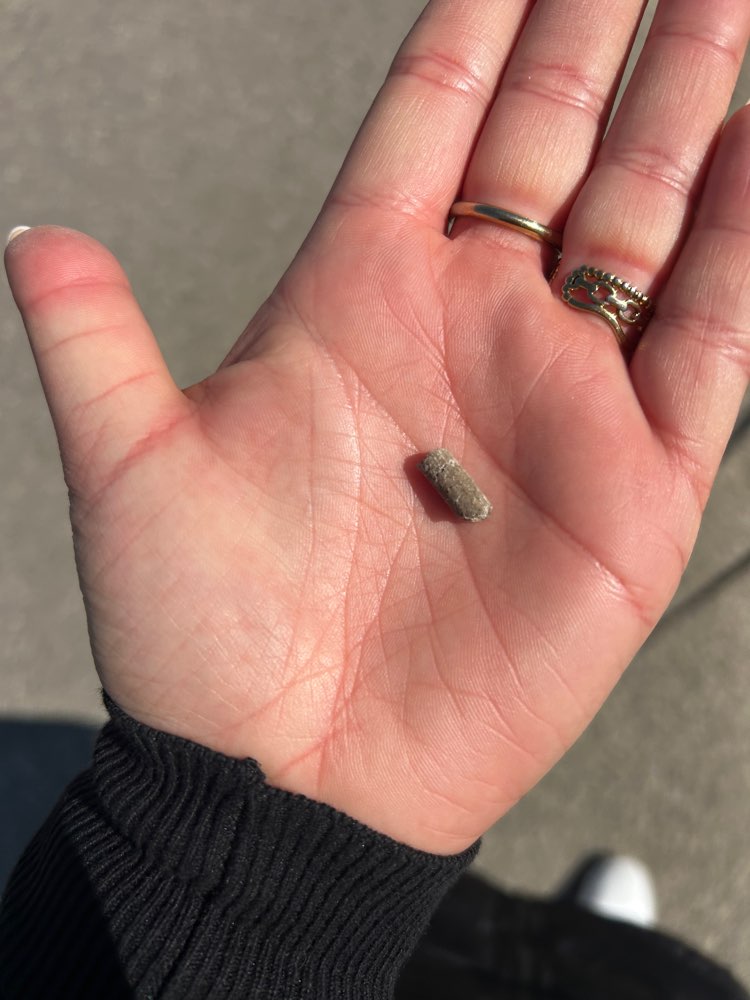 Giftköder-Dünger? Oder sowas...-Profilbild