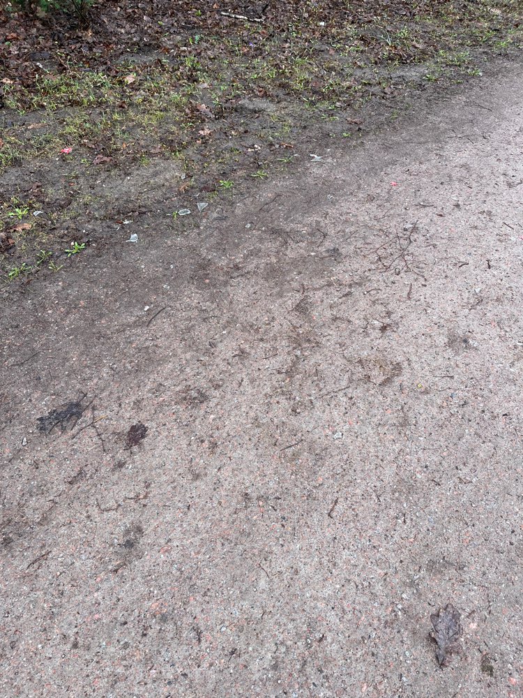 Giftköder-Scherben-Profilbild