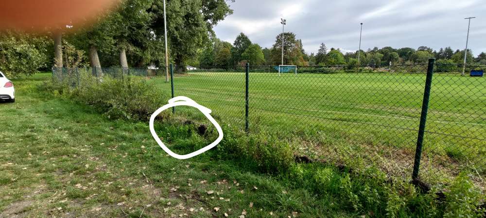 Giftköder-Verwesender Hase-Profilbild