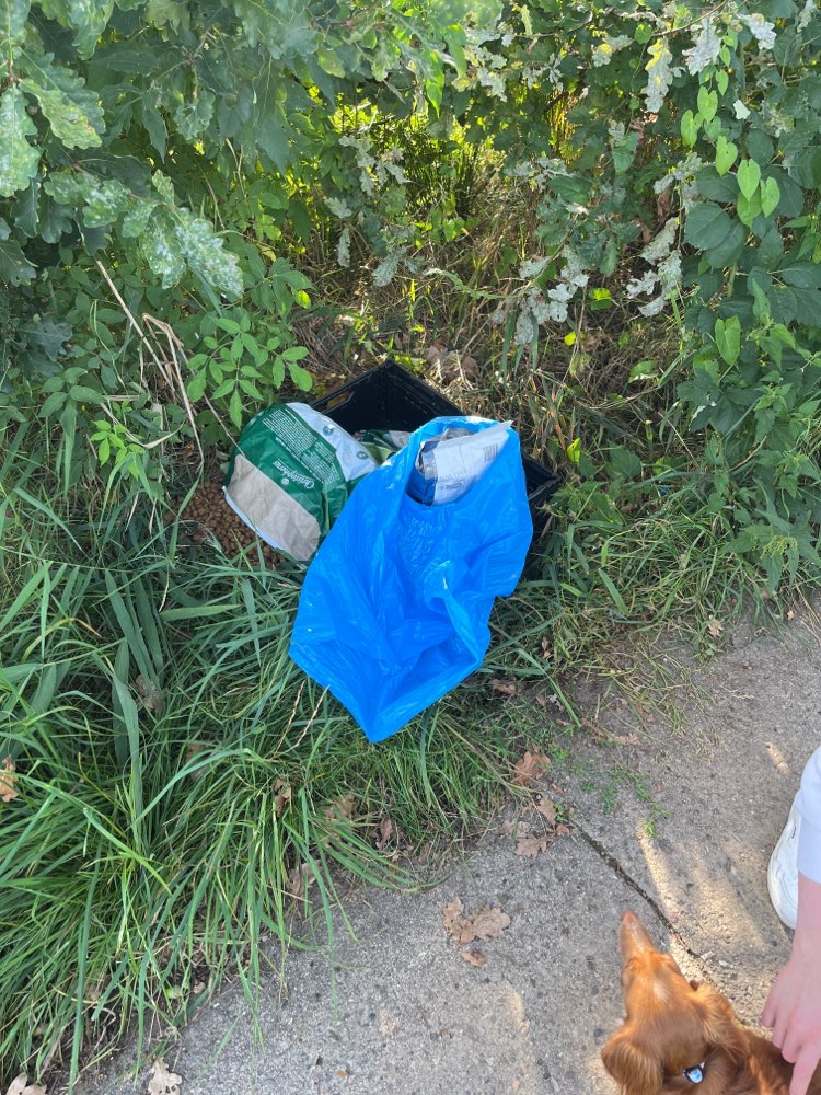 Giftköder-Möglicher Giftköder-Profilbild