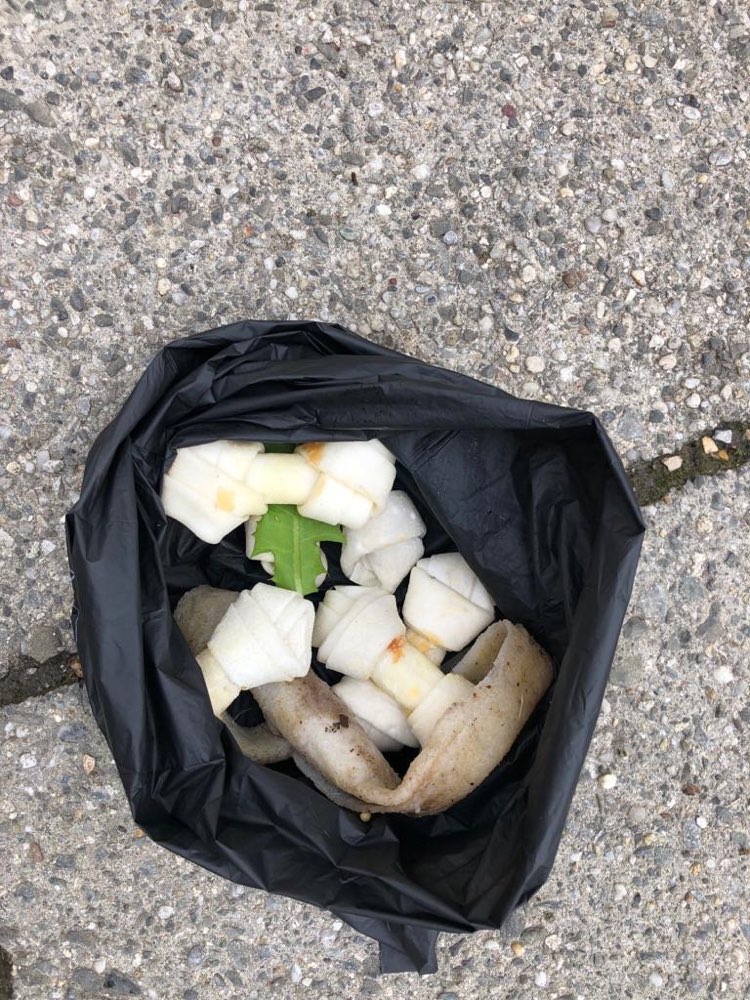 Giftköder-Verdächtige Kau-Snacks in Sendling-Profilbild