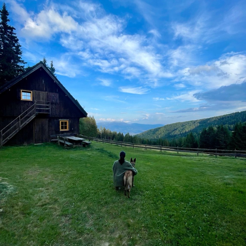 Hundetreffen-Trainingspartner*in-Profilbild