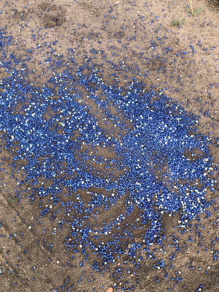 Giftköder-Düngemittel Blaukorn - giftig!-Profilbild