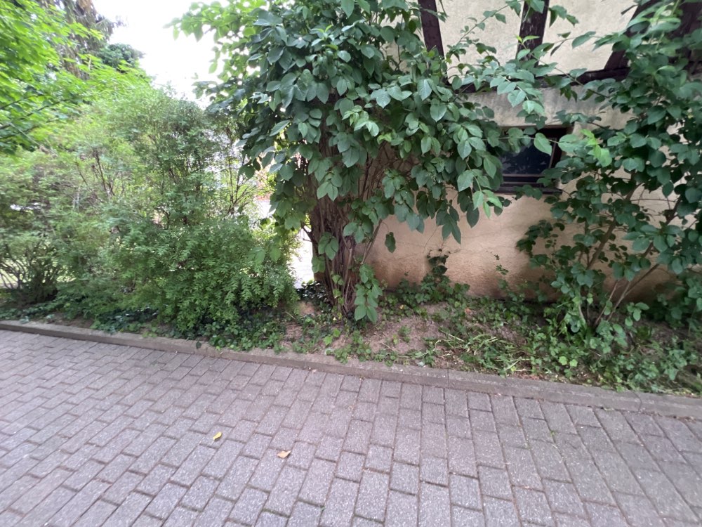 Giftköder-Möglicher Giftköder-Profilbild