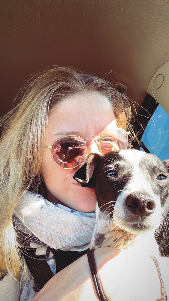 Hundetreffen-Begleitung bei täglicher Gassirunde gesucht-Profilbild