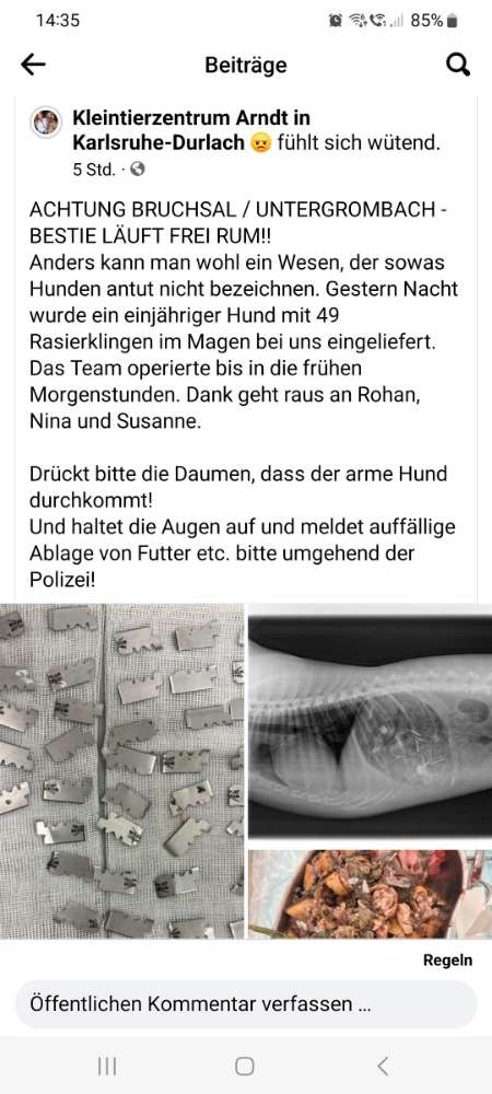 Giftköder-Rasierklingen-Profilbild