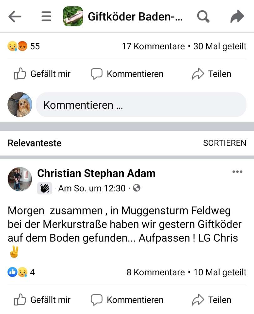 Giftköder-Giftköder auf Feldweg-Profilbild