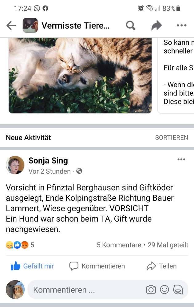 Giftköder-Giftköder-Profilbild