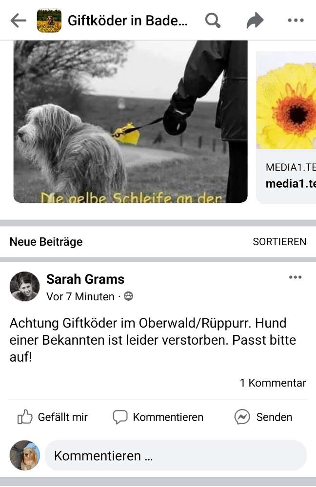 Giftköder-Giftköder im Oberwald in 75199 Rüppurr-Profilbild