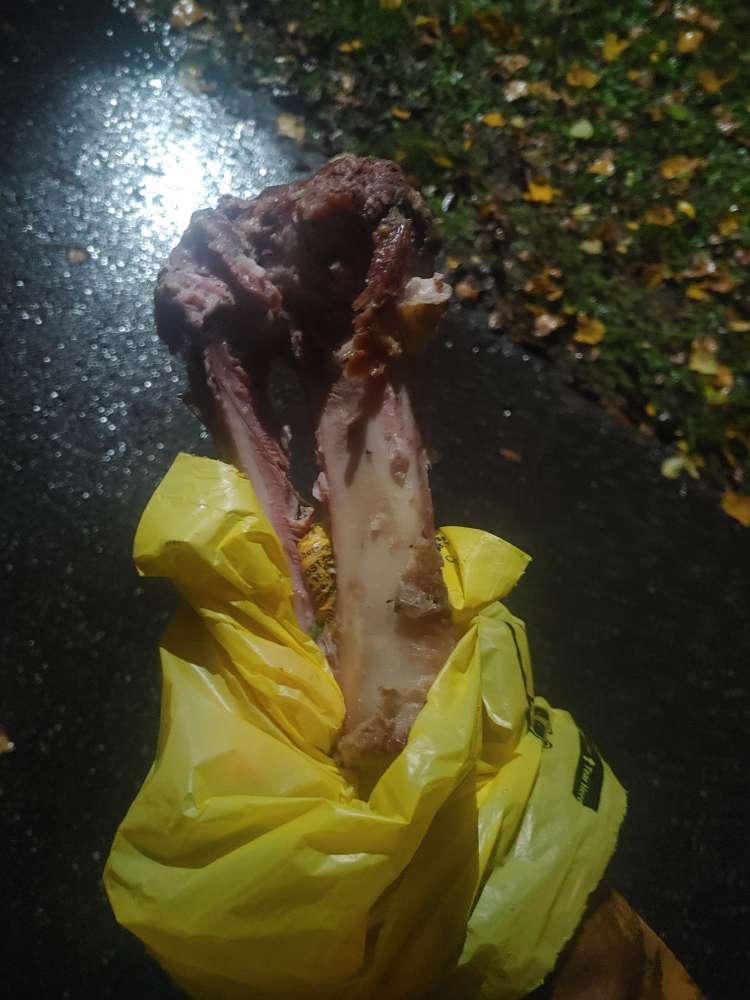 Giftköder-Knochen-Profilbild