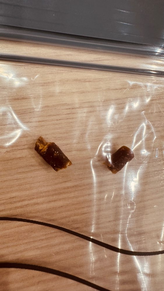 Giftköder-Giftköder-Profilbild