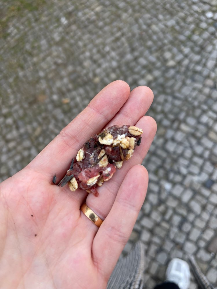 Giftköder-Vermutete Giftköder-Profilbild