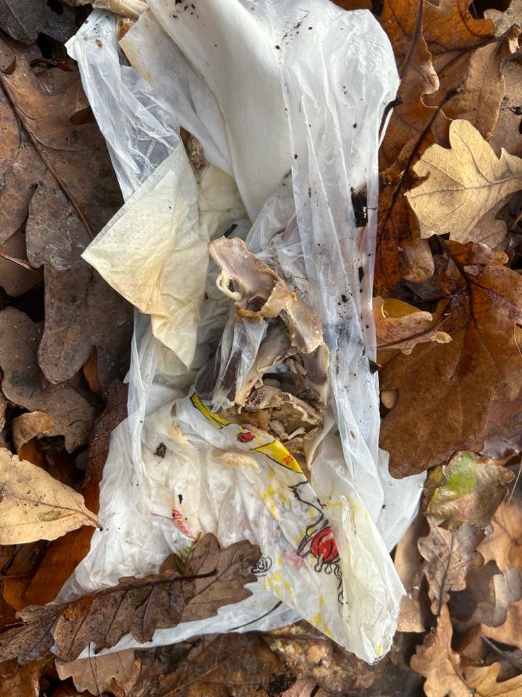 Giftköder-Fleischreste im Wald gefunden-Profilbild